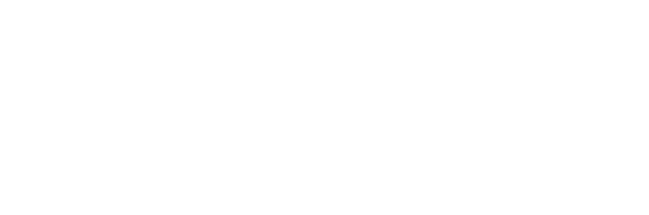 viajes_arana