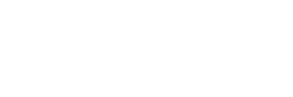 viajes_arana